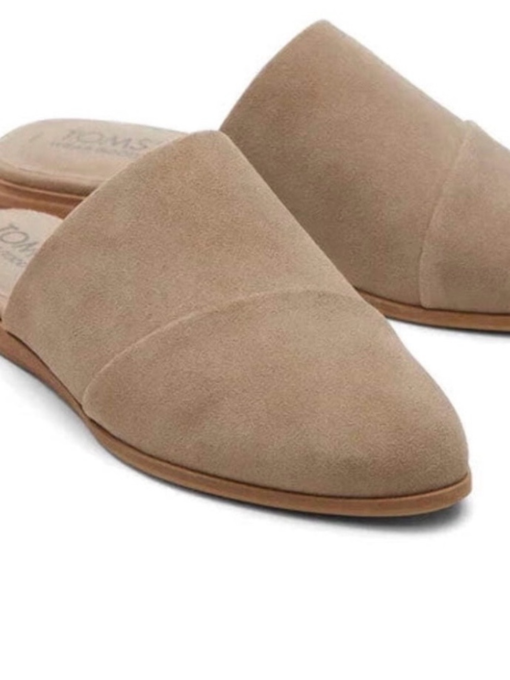 Toms Women's Suede Pointed Toe Mules in Taupe